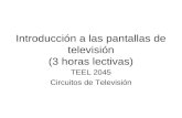 Introducción a las pantallas de televisión (3 horas lectivas) TEEL 2045 Circuitos de Televisión.