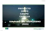 Biz Plan DRAFT Oct 15/05 Confidential GI-2 Dec05 SULFURO DE HIDROGENO (H2S) PROYECTO OMBÚ CAMPO CAPELLA.