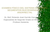 EXAMEN FÍSICO DEL SISTEMA DIGESTIVO. SEGMENTOS BUCOFARÍNGEO Y ANORRECTAL Dr. MsC Rolando José Garrido García Especialista de Segundo Grado en MGI Profesor.