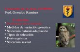 Contenido de la clase (31/08/05) Prof. Oswaldo Ramirez Evolución: Evidencias de evolución Medidas de variación genetica Selección natural-adaptación Tipos.