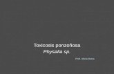 Toxicosis ponzoñosa Physalia sp. Prof. Alicia Dutra.