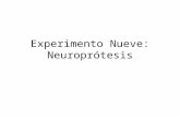 Experimento Nueve: Neuroprótesis. La mayoría de las neuronas en el cerebro y médula espinal de los mamíferos no vuelven a crecer al ser dañadas.