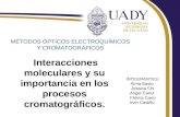 MÉTODOS ÓPTICOS ELECTROQUÍMICOS Y CROMATOGRÁFICOS Interacciones moleculares y su importancia en los procesos cromatográficos. INTEGRANTES: Alma Basto Jessica.