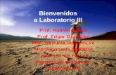 Bienvenidos a Laboratorio III Prof. Ramón Valera Prof. Edgar González   rvalera@ucla.edu.ve egonzale@ucla.edu.ve.