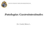 Patolog­as Gastrointestinales FACULTAD DE CIENCIAS BIOL“GICAS Dr. Guido Mora L. Dr. Guido Mora L