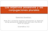 Essential Question: How do I correctly express possession in Spanish using possessive adjectives and use the plural form of verbs? Gramática 3.2 Los adjetivos.