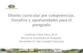 Diseño curricular por competencias. Desafíos y oportunidades para el postgrado Guillermo Yáber Oltra, Ph.D. Núcleo de Autoridades de Postgrado Noviembre.