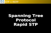 STP + RSTP Spanning Tree Protocol Rapid STP. STP + RSTP En la actualidad, las empresas dependen cada vez más de sus redes para su funcionamiento. Para.