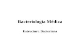 Bacteriología Médica Estructura Bacteriana. Clasificación Taxonómica De Las Bacterias Carl Woese 1987 Basada en homología y diferencias comparativas del