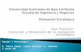 Caso Practico: Evolución y Desarrollo de la planeación estratégica Equipo 1 Estrategas: M. Paola Zayas, Laura Sevilla, A. Sánchez 3 junio 09.
