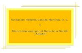 Fundación Heberto Castillo Martínez, A. C. Y Alianza Nacional por el Derecho a Decidir ( ANDAR) Fundación Heberto Castillo Martínez, A. C. Y Alianza Nacional.