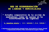 RED DE BIODEGRADACIÓN DE LIGNINA Y HEMICELULOSA “ Estudio comparativo de la acción de mediadores redox de lacasa en la transformación de ligninas” K. González.