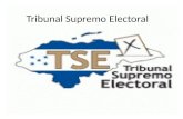 Tribunal Supremo Electoral. ¿Qué es el TSE? Es el organismo del Estado que se regirá por la Constitución de la República y la ley electoral que administra.
