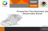 Programa de Atención a Contingencias Climatológicas DGPROR/SDR Marzo 2011 Proyectos Territoriales de Desarrollo Rural.