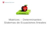 Matrices – Determinantes Sistemas de Ecuaciones lineales.