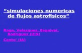 “simulaciones numericas de flujos astrofisicos” Raga, Velazquez, Esquivel, Rodriguez (ICN) Canto’ (IA)