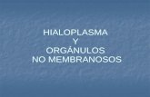 HIALOPLASMA Y ORGÁNULOS NO MEMBRANOSOS. HIALOPLASMA El hialoplasma está constituido por un 85% de agua con un gran contenido de sustancias dispersas en.