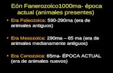 Eón Fanerozoico1000ma- época actual (animales presentes) Era Paleozoica: 590-290ma (era de animales antiguos) Era Mesozoica: 290ma – 65 ma (era de animales.
