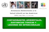 Amenazas Ambientales a la Salud Infantil en las Américas CEPIS, Lima, Peru, 9 -11 Abril 2003 CONTAMINANTES AMBIENTALES, SUSTANCIAS TOXICAS Y LESIONES NO.