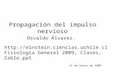 Propagación del impulso nervioso 12 de marzo de 2009 Osvaldo Álvarez.  Fisiologia General 2009, Clases, Cable.ppt.