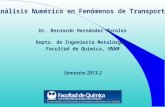 Análisis Numérico en Fenómenos de Transporte Semestre 2013-2 Dr. Bernardo Hernández Morales Depto. de Ingeniería Metalúrgica Facultad de Química, UNAM.