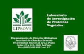 Laboratorio de Investigación de Proteínas Vegetales Departamento de Ciencias Biológicas Facultad de Ciencias Exactas Universidad Nacional de La Plata Calles.