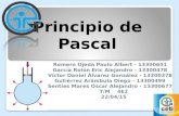 Principio de Pascal Romero Ojeda Paulo Albert - 13300651 García Rolón Eric Alejandro - 13300478 Víctor Daniel Álvarez González - 13300378 Gutiérrez Arámbula.