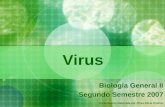 Virus Biología General II Segundo Semestre 2007 Presentación elaborada por: Rosa Alicia Jiménez.