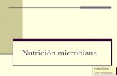 Nutrición microbiana Keiko Shirai: UAM-Iztapalapa Keiko Shirai: UAM-Iztapalapa