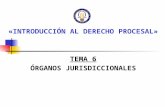 «INTRODUCCIÓN AL DERECHO PROCESAL» TEMA 6 ÓRGANOS JURISDICCIONALES.