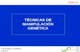Tema 11 Licenciado en Química Curso 1º TÉCNICAS DE MANIPULACIÓN GENÉTICA.