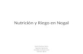 Nutrición y Riego en Nogal Mario Machuca Torres Ingeniero Agrónomo Consultor en Frutos secos +56 9959 186 01.