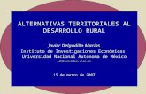 ALTERNATIVAS TERRITORIALES AL DESARROLLO RURAL Javier Delgadillo Macías Instituto de Investigaciones Económicas Universidad Nacional Autónoma de México.
