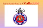 Ayuntamiento de Valladolid. Es un Plan Territorial Municipal, cuya finalidad es la de hacer frente a las situaciones de grave riesgo, catástrofe o calamidad.