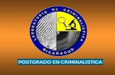 POSTGRADO EN CRIMINALISTICA. MINISTERIO DE GOBERNACION POLICIA NACIONAL INSTITUTO DE ESTUDIOS SUPERIORES WALTER MENDOZA MARTINEZ TEMA: ESTUDIO SOBRE TECNICAS.