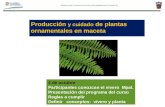 PRODUCCION Y CUIDADO DE PLANTAS DE ORNAMENTALES EN MACETA Producción y cuidado de plantas ornamentales en maceta Marzo 2003 4 de octubre Participantes.