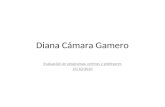 Diana Cámara Gamero Evaluación de programas, centros y profesores 25/10/2010.