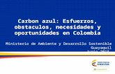 Carbon azul: Esfuerzos, obstaculos, necesidades y oportunidades en Colombia Ministerio de Ambiente y Desarrollo Sostenible Guayaquil Junio 2015.