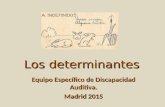 Los determinantes Equipo Específico de Discapacidad Auditiva. Madrid 2015.