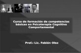 Prof.: Lic. Fabián Olaz Curso de formación de competencias básicas en Psicoterapia Cognitivo Comportamental.