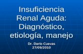 Insuficiencia Renal Aguda: Diagnóstico, etiología, manejo Dr. Darío Cuevas 27/09/2010.