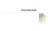 Gestación. Reproductor femenino Fecundación Gestación – 1º trimestre Etapa celular: semanas 1 a 4 Multiplicación celular Implantación Formación del.