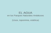 EL AGUA en los Parques Naturales Andaluces (Usos, toponimia, estética)