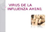 VIRUS DE LA INFLUENZA AH1N1 VIRUS DE LA INFLUENZA AH1N1.