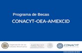 CONACYT-OEA-AMEXCID 14 de noviembre de 2013 Programa de Becas.