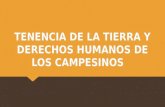 TENENCIA DE LA TIERRA Y DERECHOS HUMANOS DE LOS CAMPESINOS.