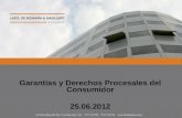 Garantías y Derechos Procesales del Consumidor 25.06.2012.