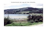 Contaminación del Lago de Tota, Colombia.. Estudio de la cuenca del reservorio "Los Laureles", Honduras