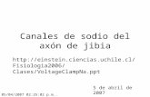 Canales de sodio del axón de jibia 5 de abril de 2007  Clases/VoltageClampNa.ppt 05/04/2007 02:35:02.