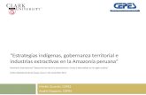 “Estrategias indígenas, gobernanza territorial e industrias extractivas en la Amazonía peruana” Seminario internacional “Desarrollo territorial y extractivismo:
